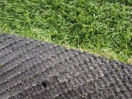 Detail - spodná časť trávy